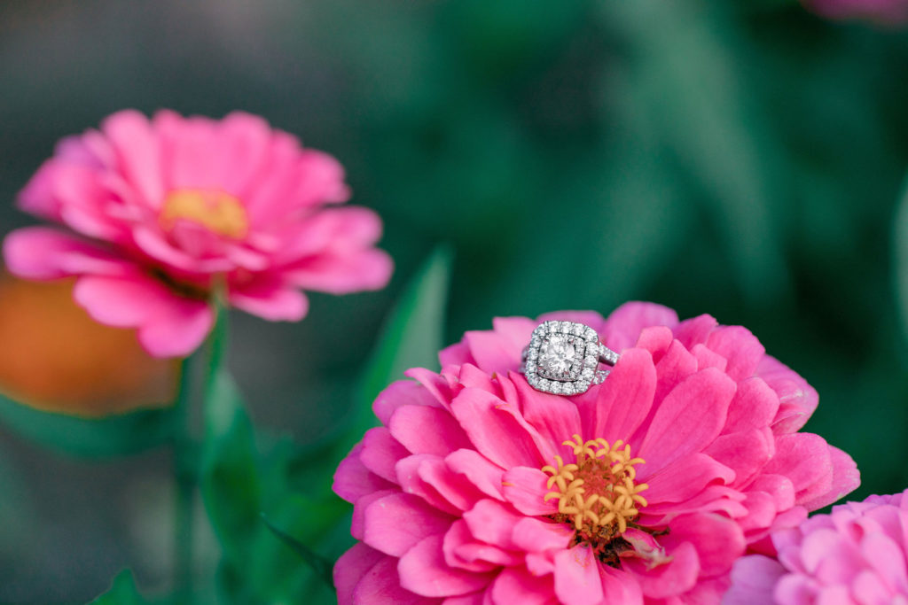 engagement ring on flower at meadowlark gardens