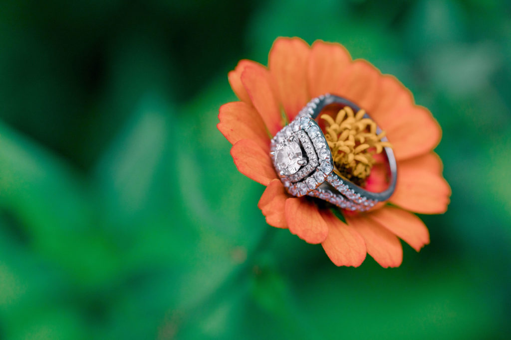 engagement ring on flower at meadowlark botanical gardens